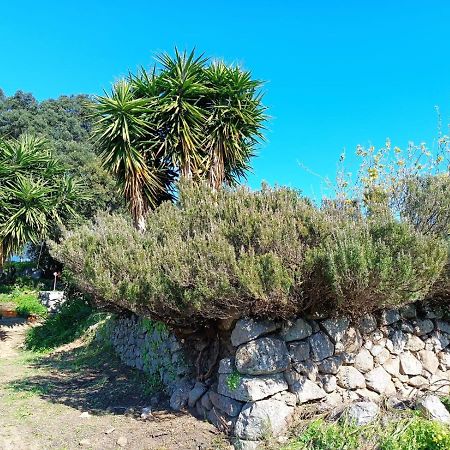 Vinha Do Gaio Villa Montes de Cima Bagian luar foto