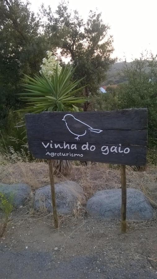 Vinha Do Gaio Villa Montes de Cima Bagian luar foto