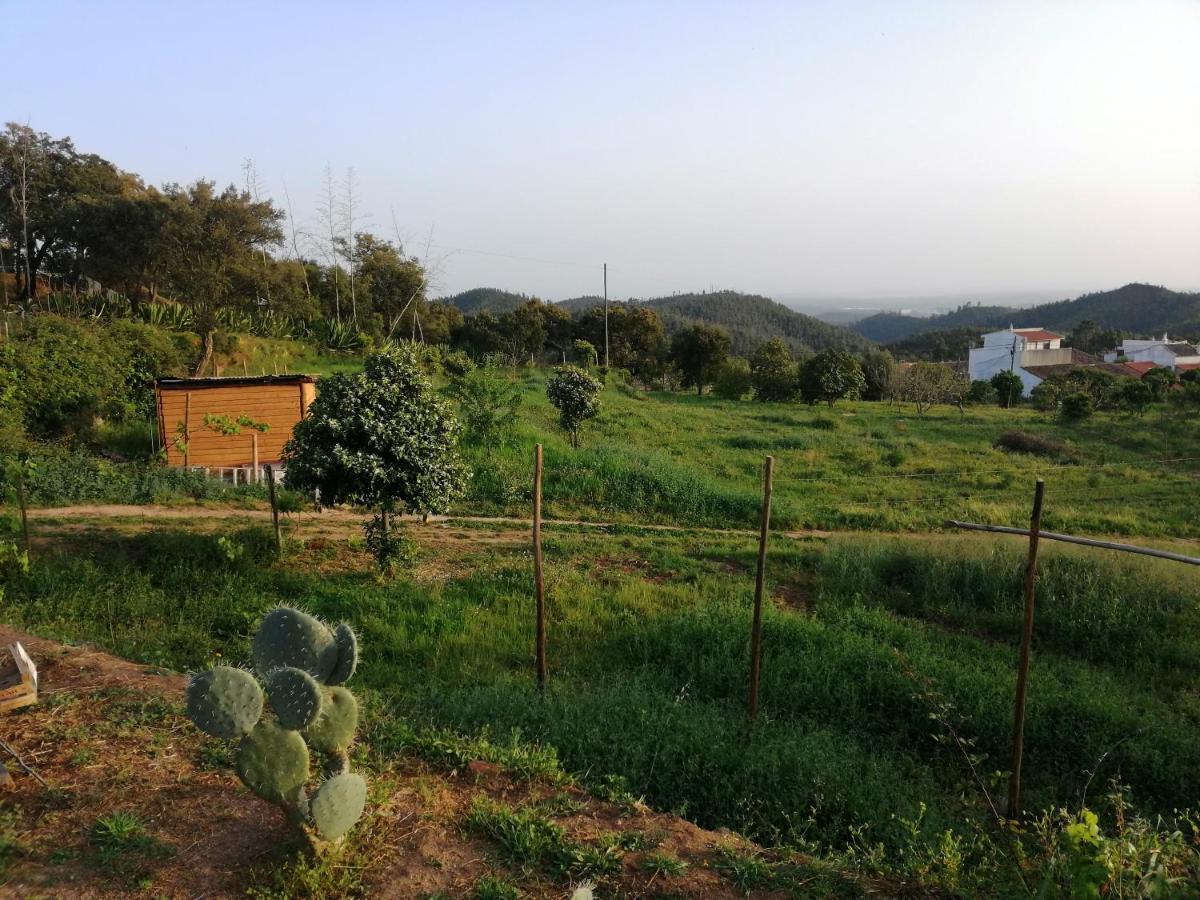 Vinha Do Gaio Villa Montes de Cima Bagian luar foto