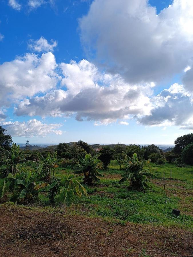 Vinha Do Gaio Villa Montes de Cima Bagian luar foto